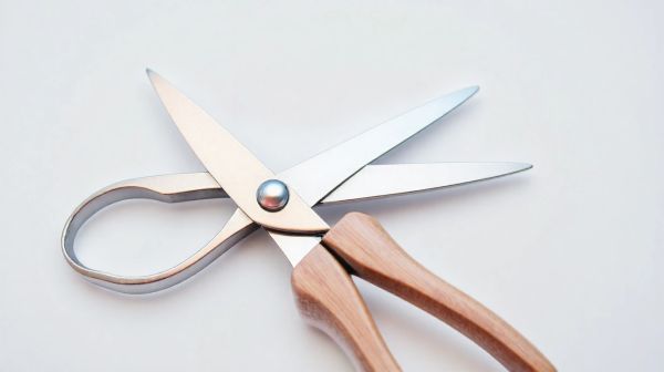 Top massicots : caractéristiques pour des découpes parfaites